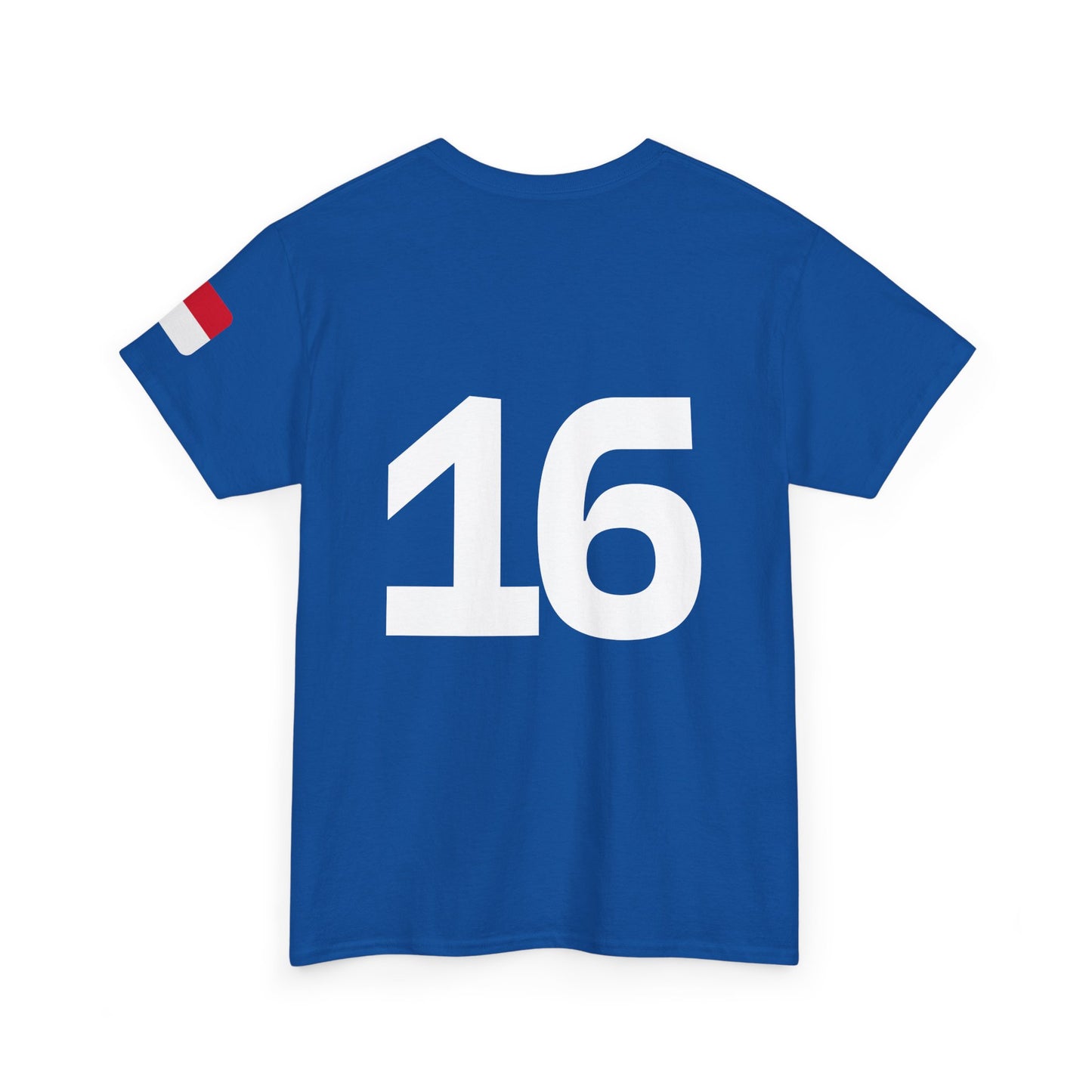 Charles Leclerc shirt, Ferrari Formula 1 T-Shirt, Ferrari, Scuderia Ferrari, Racing Fan Gift, F1 Apparel, Car Enthusiast Shirt