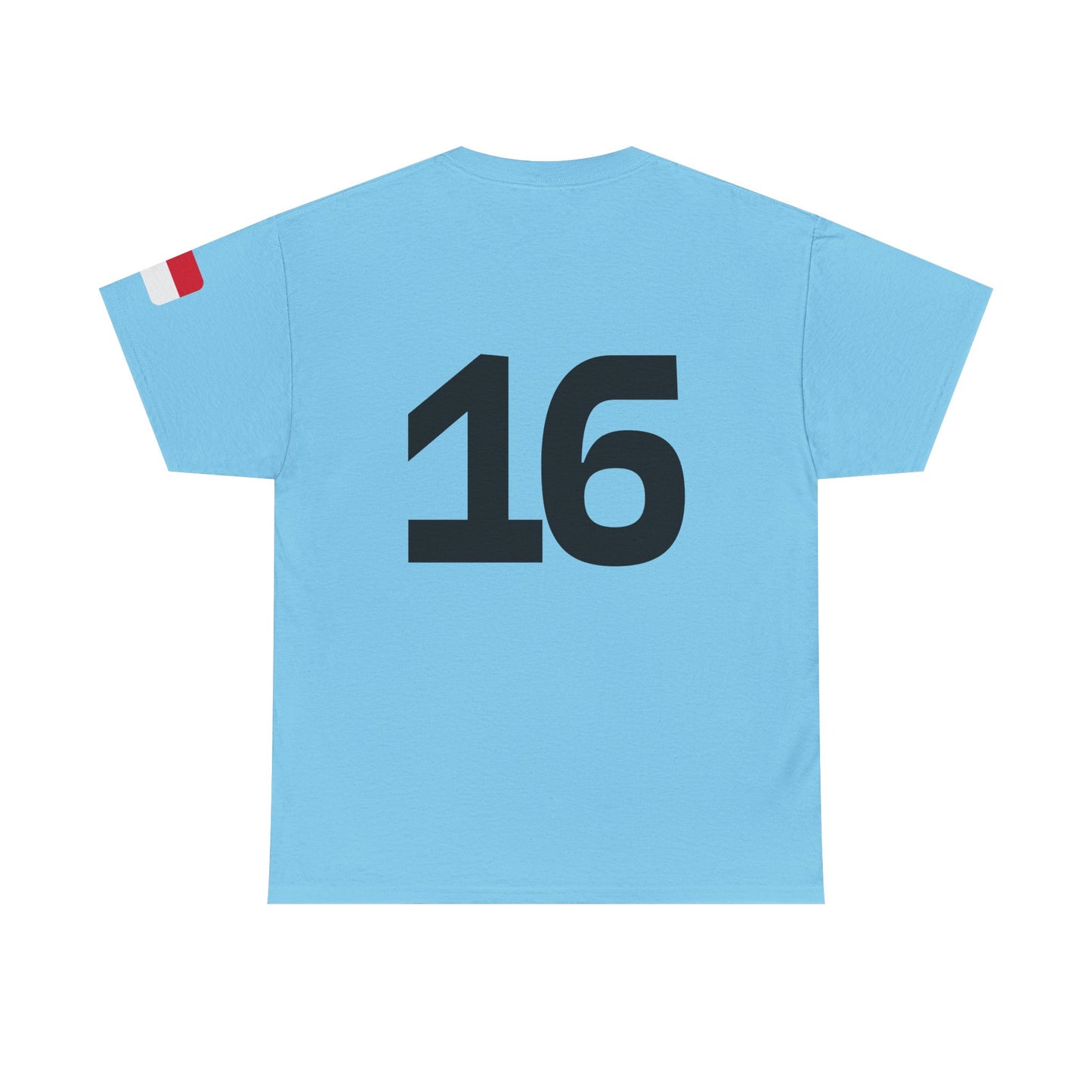 Charles Leclerc shirt, Ferrari Formula 1 T-Shirt, Ferrari, Scuderia Ferrari, Racing Fan Gift, F1 Apparel, Car Enthusiast Shirt