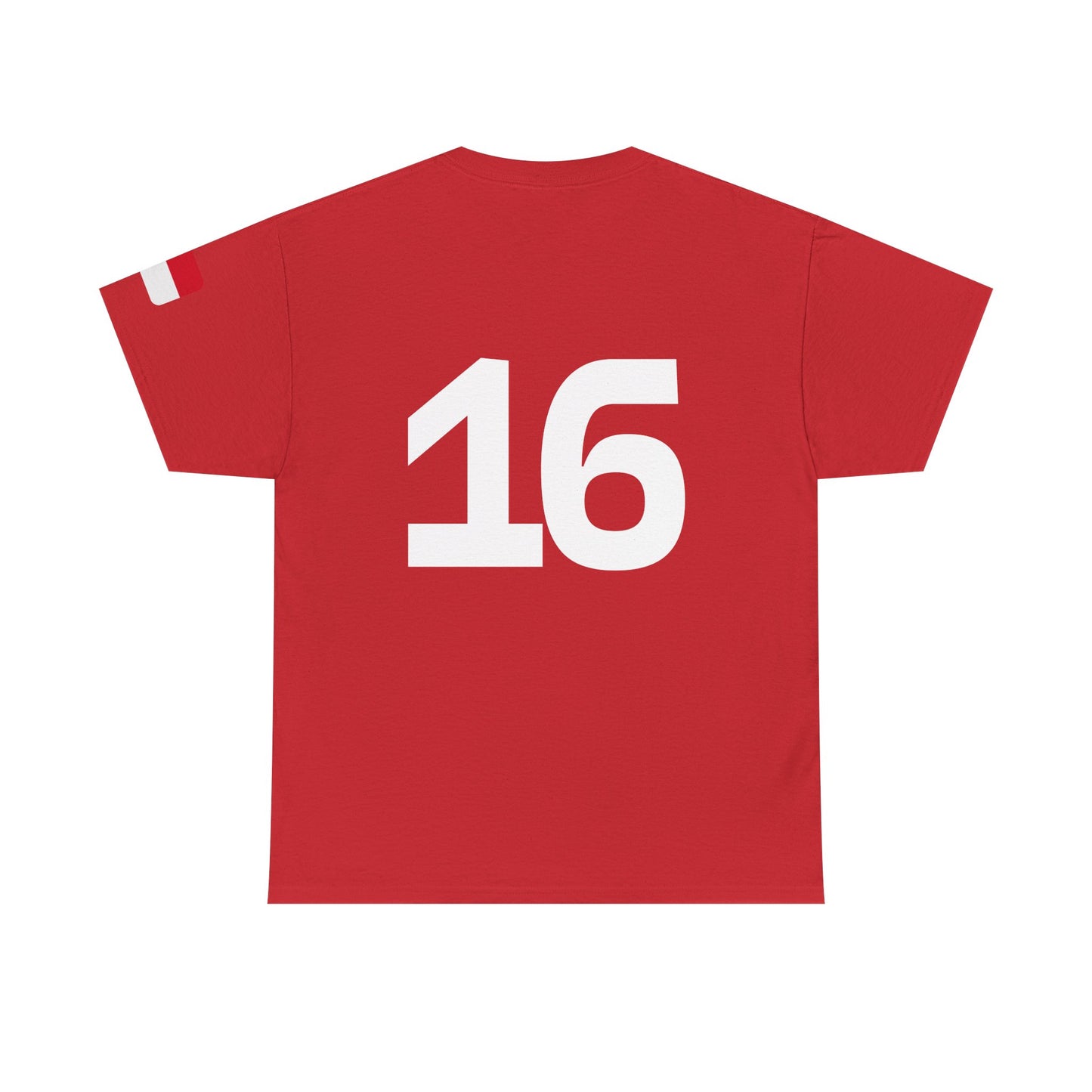 Charles Leclerc shirt, Ferrari Formula 1 T-Shirt, Ferrari, Scuderia Ferrari, Racing Fan Gift, F1 Apparel, Car Enthusiast Shirt