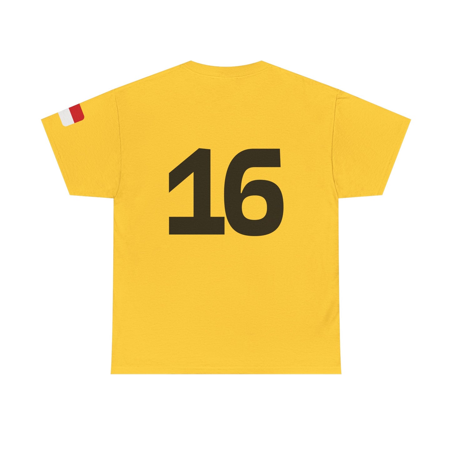 Charles Leclerc shirt, Ferrari Formula 1 T-Shirt, Ferrari, Scuderia Ferrari, Racing Fan Gift, F1 Apparel, Car Enthusiast Shirt