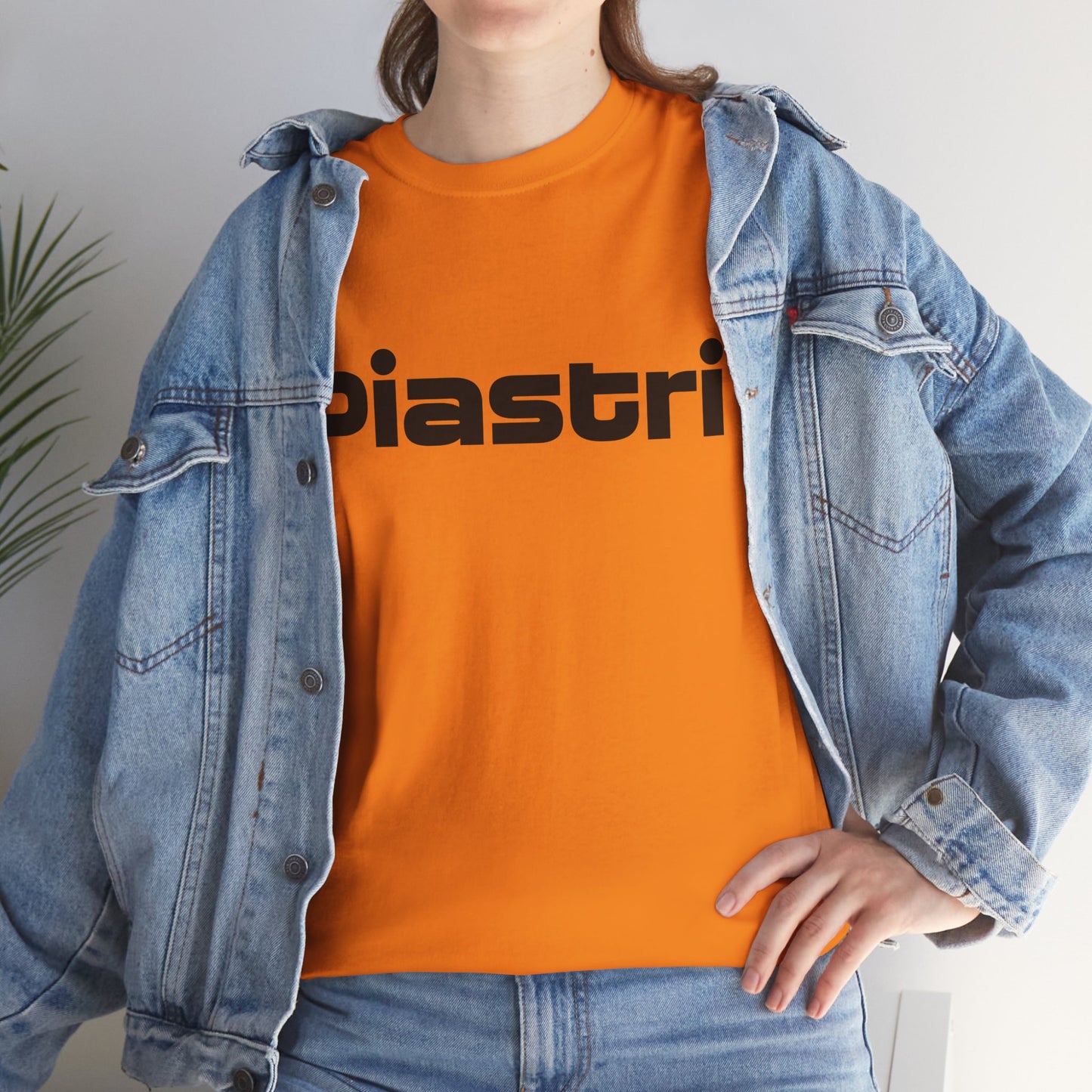Oscar Piastri Formula 1 McLaren Tee, McLaren shirt, Constructor's Champion,