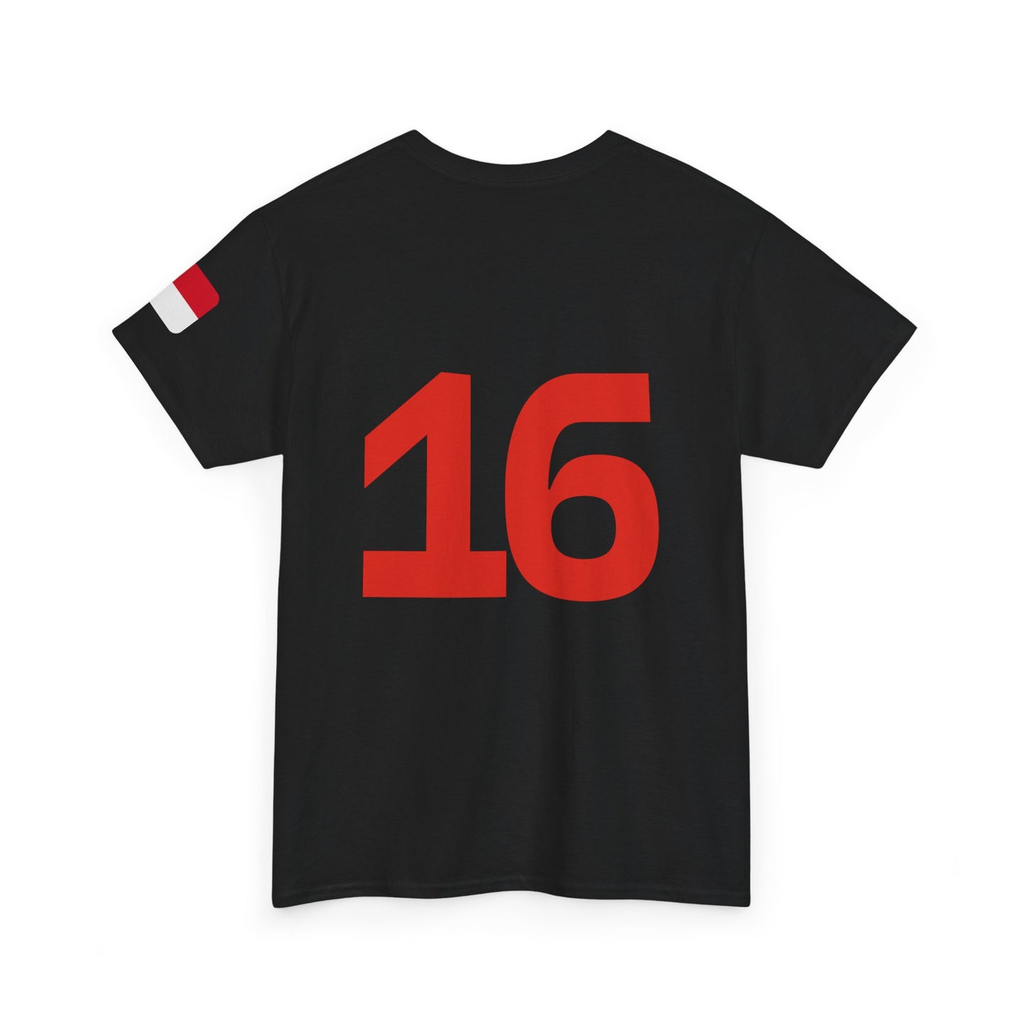 Charles Leclerc shirt, Ferrari Formula 1 T-Shirt, Ferrari, Scuderia Ferrari, Racing Fan Gift, F1 Apparel, Car Enthusiast Shirt