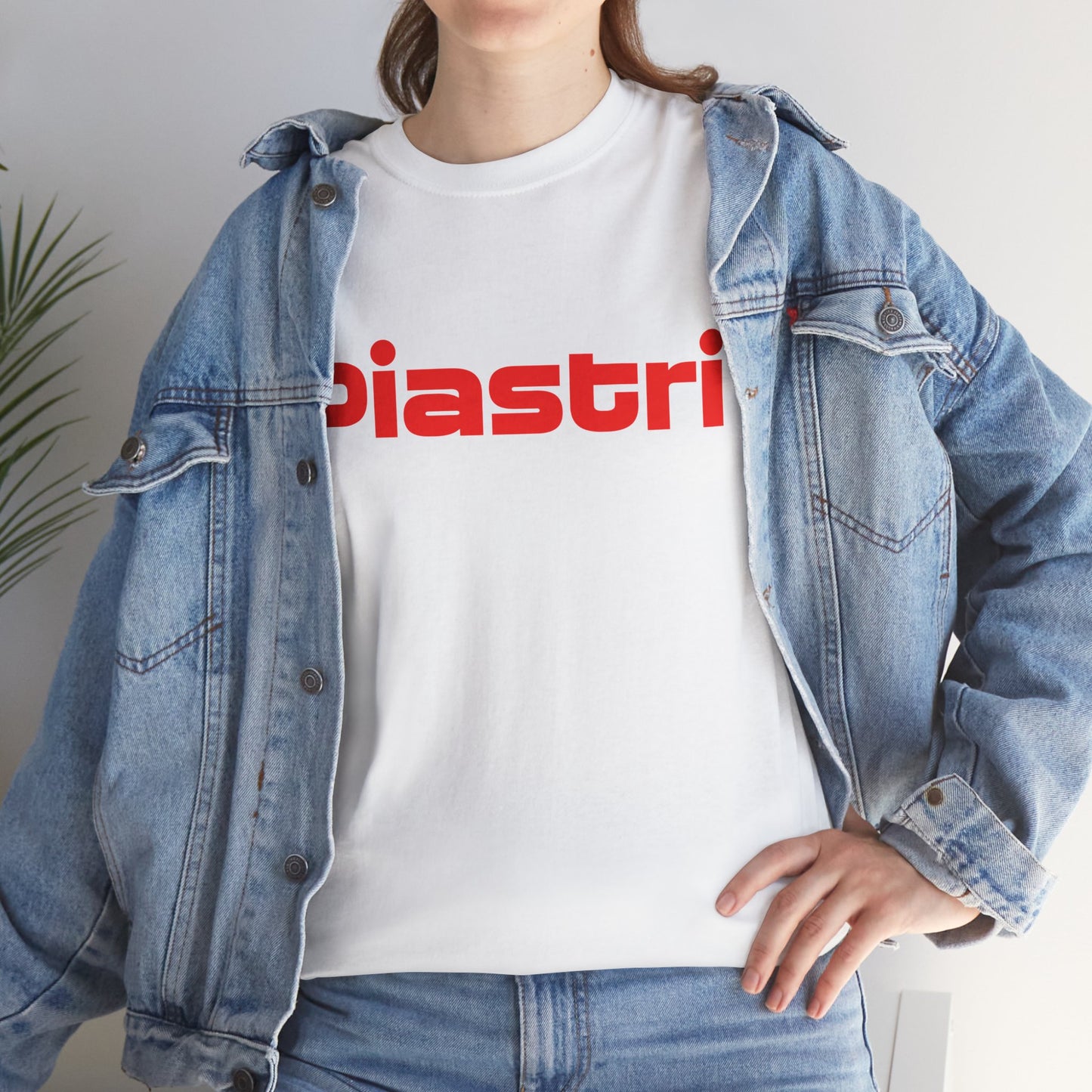 Oscar Piastri Formula 1 McLaren Tee, McLaren shirt, Constructor's Champion,